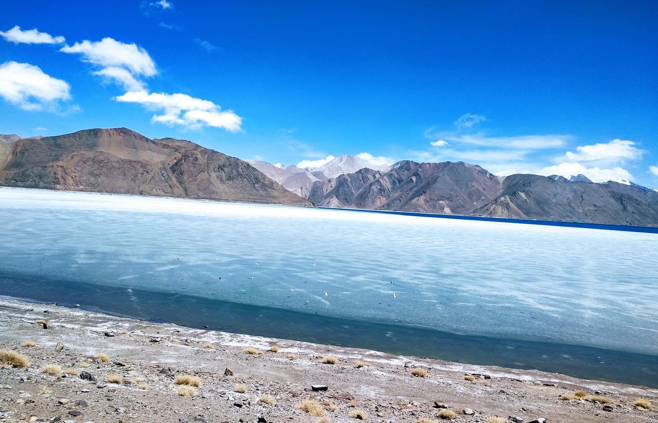Hotel Mystic Pangong à Spangmik Extérieur photo
